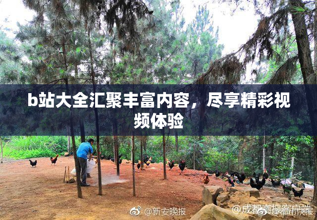 b站大全汇聚丰富内容，尽享精彩视频体验