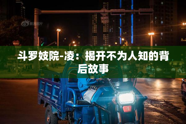 斗罗妓院-凌：揭开不为人知的背后故事