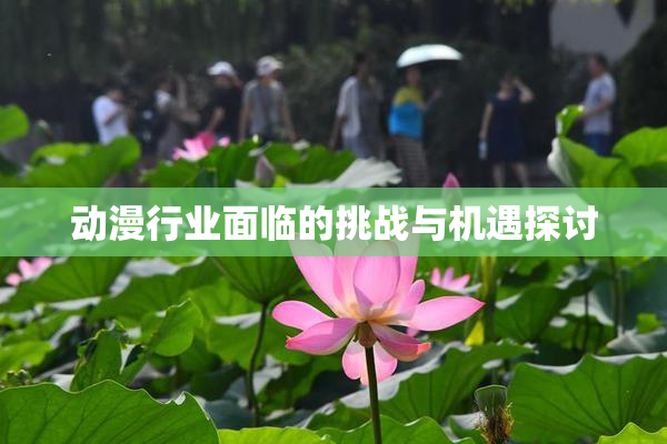 动漫行业面临的挑战与机遇探讨
