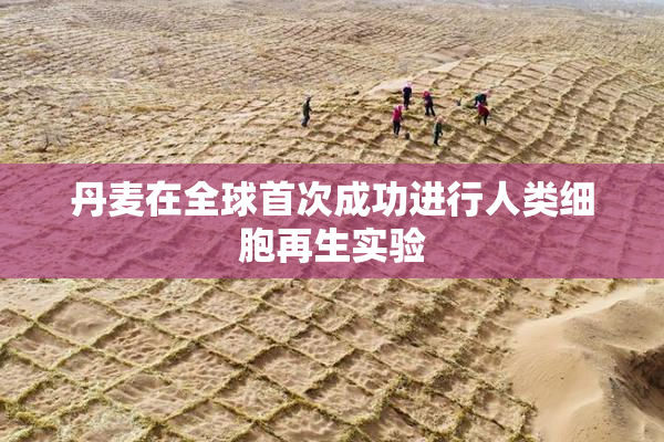 丹麦在全球首次成功进行人类细胞再生实验