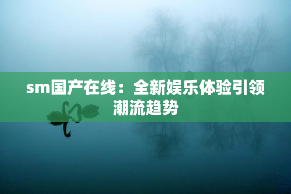 sm国产在线：全新娱乐体验引领潮流趋势