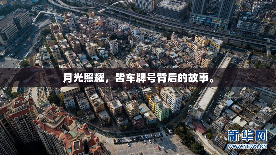 月光照耀，皆车牌号背后的故事。