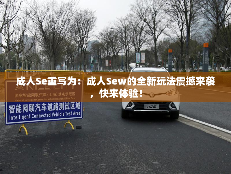 成人Se重写为：成人Sew的全新玩法震撼来袭，快来体验！