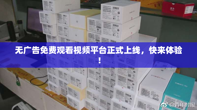 无广告免费观看视频平台正式上线，快来体验！