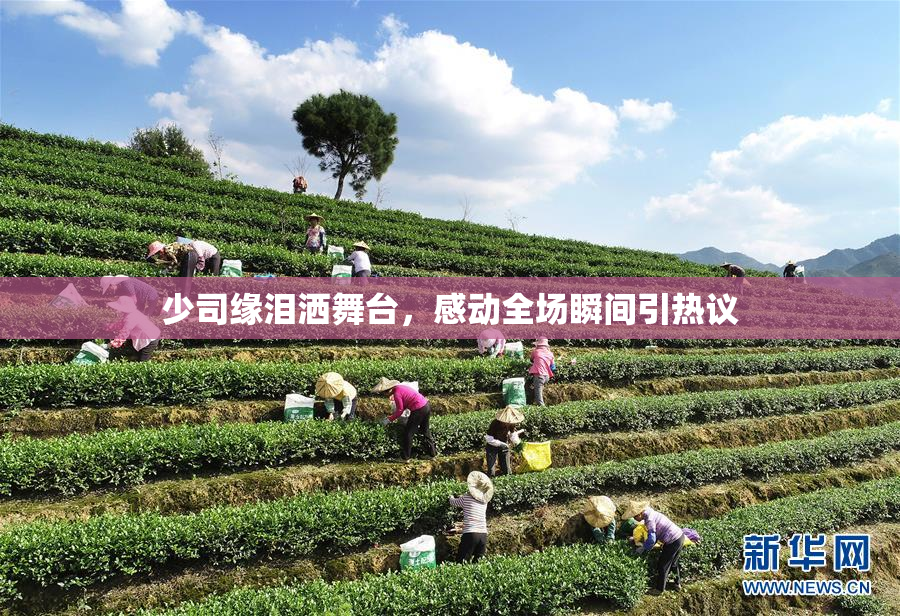 少司缘泪洒舞台，感动全场瞬间引热议