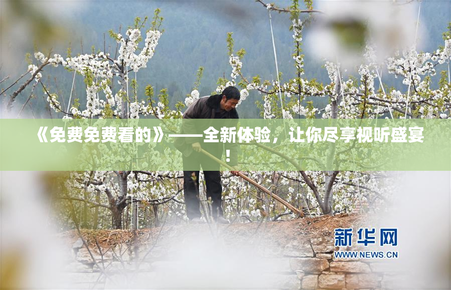 《免费免费看的》——全新体验，让你尽享视听盛宴！