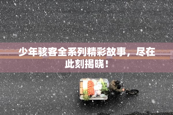 少年骇客全系列精彩故事，尽在此刻揭晓！