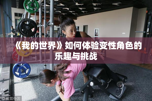 《我的世界》如何体验变性角色的乐趣与挑战