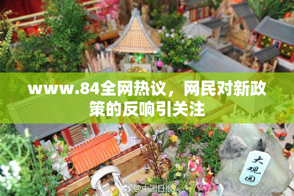 www.84全网热议，网民对新政策的反响引关注