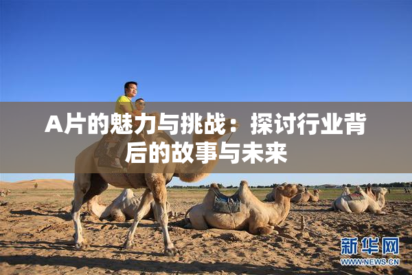A片的魅力与挑战：探讨行业背后的故事与未来