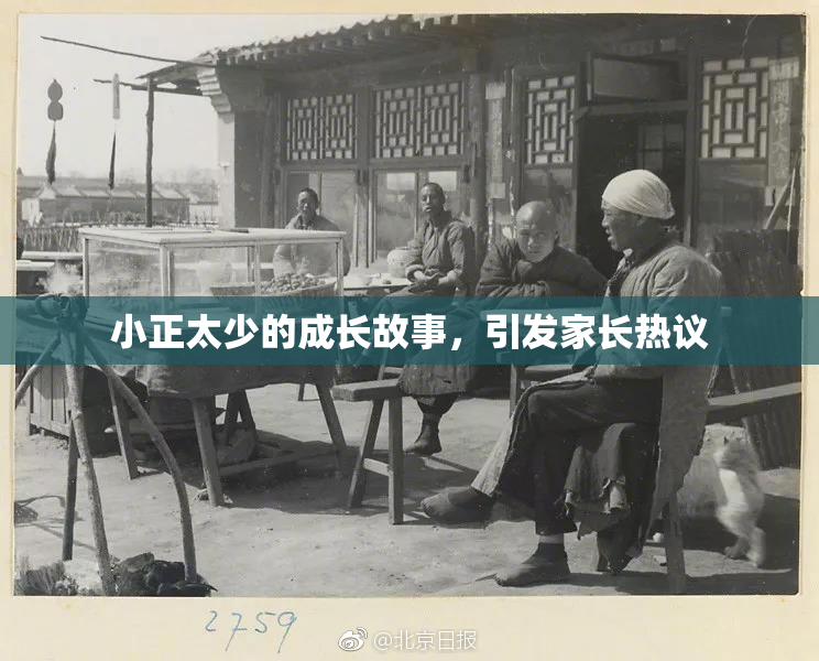 小正太少的成长故事，引发家长热议