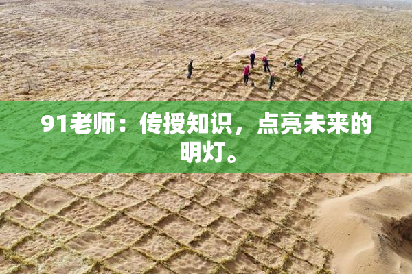 91老师：传授知识，点亮未来的明灯。