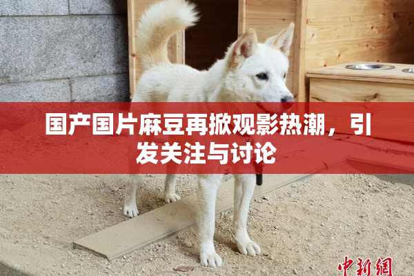 国产国片麻豆再掀观影热潮，引发关注与讨论