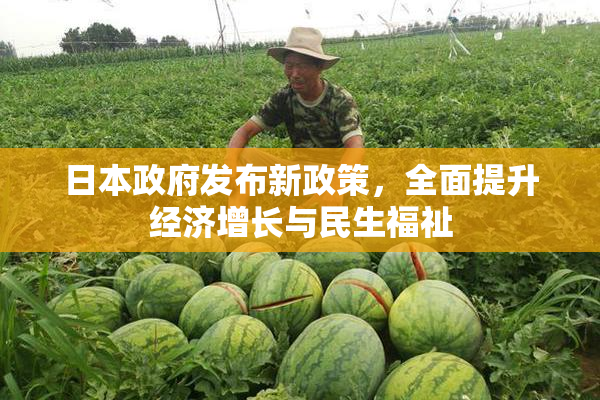 日本政府发布新政策，全面提升经济增长与民生福祉