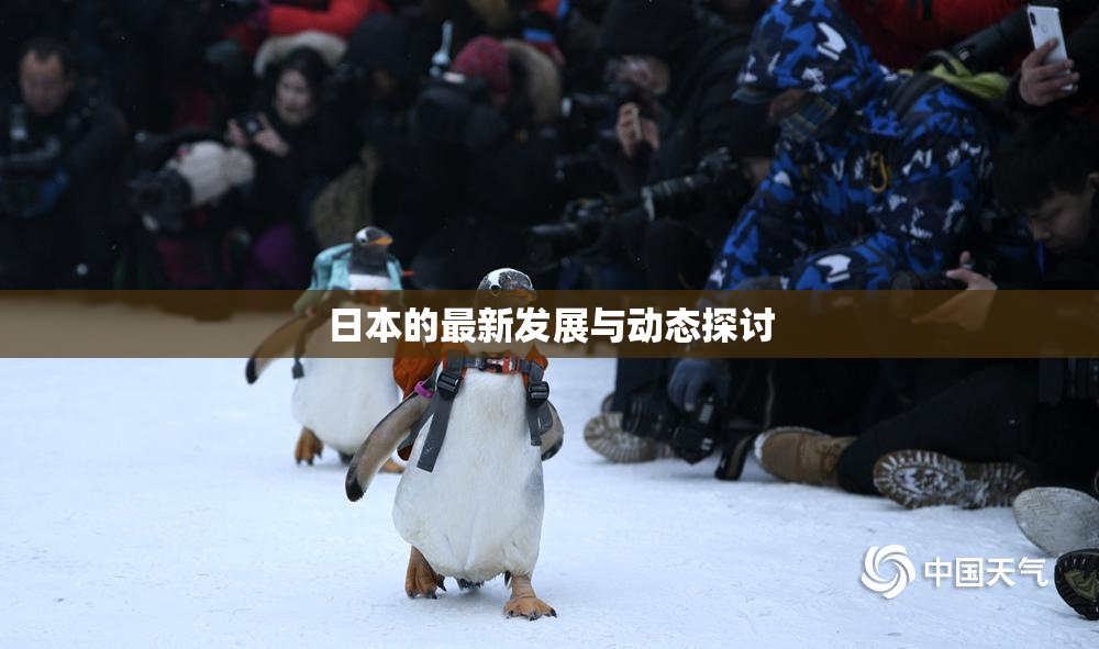 日本的最新发展与动态探讨