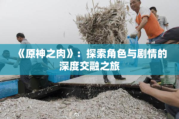 《原神之肉》：探索角色与剧情的深度交融之旅