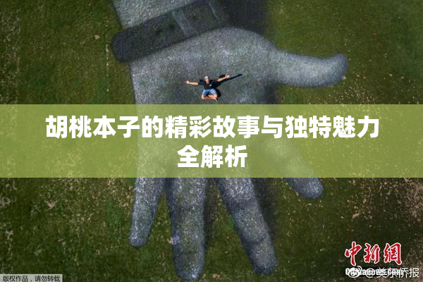 胡桃本子的精彩故事与独特魅力全解析