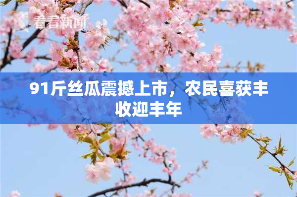 91斤丝瓜震撼上市，农民喜获丰收迎丰年