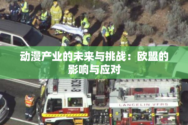 动漫产业的未来与挑战：欧盟的影响与应对