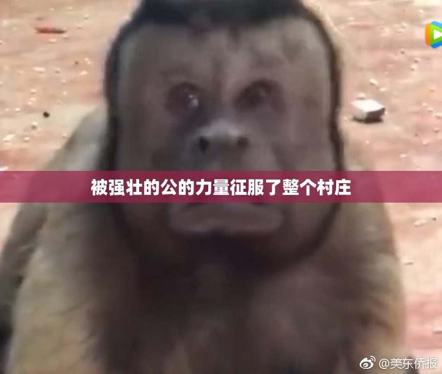 被强壮的公的力量征服了整个村庄