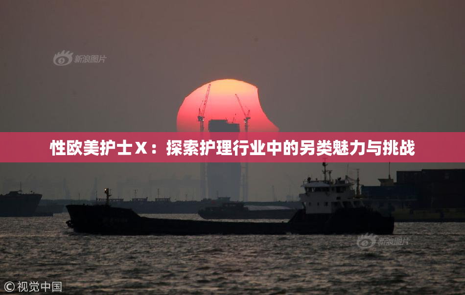 性欧美护士Ⅹ：探索护理行业中的另类魅力与挑战