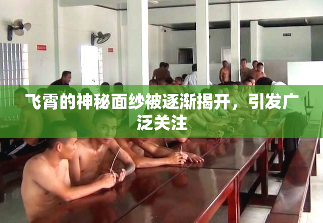 飞霄的神秘面纱被逐渐揭开，引发广泛关注