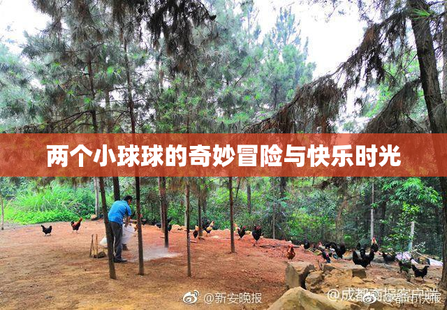 两个小球球的奇妙冒险与快乐时光