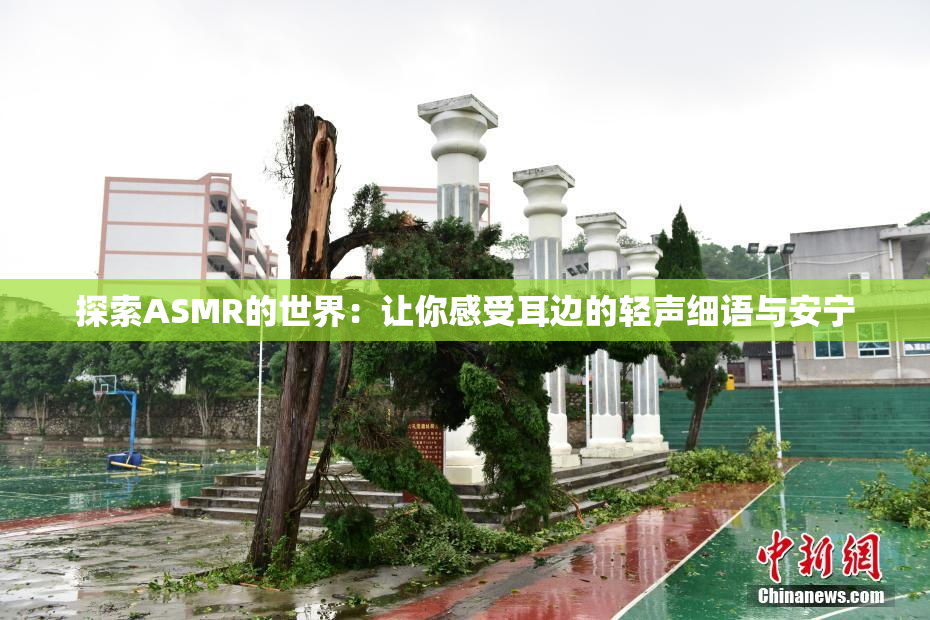 探索ASMR的世界：让你感受耳边的轻声细语与安宁