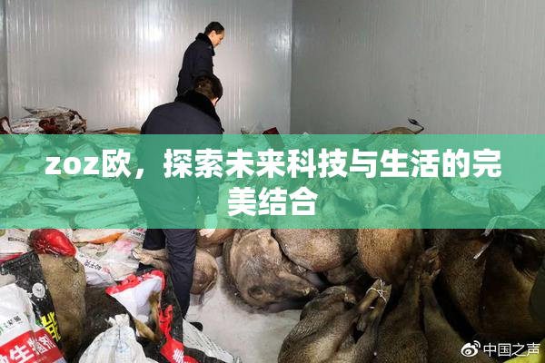 zoz欧，探索未来科技与生活的完美结合