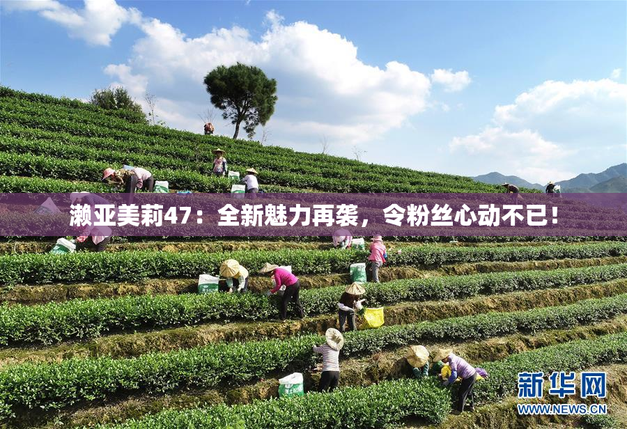 濑亚美莉47：全新魅力再袭，令粉丝心动不已！