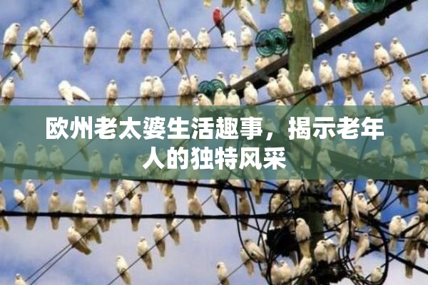 欧州老太婆生活趣事，揭示老年人的独特风采