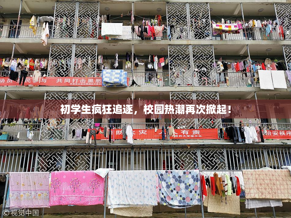 初学生疯狂追逐，校园热潮再次掀起！