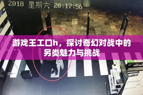 游戏王工口h，探讨奇幻对战中的另类魅力与挑战