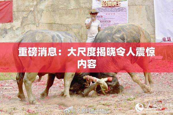 重磅消息：大尺度揭晓令人震惊内容