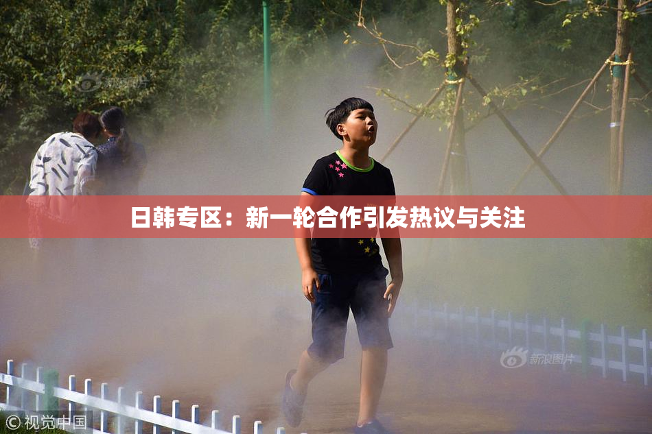 日韩专区：新一轮合作引发热议与关注