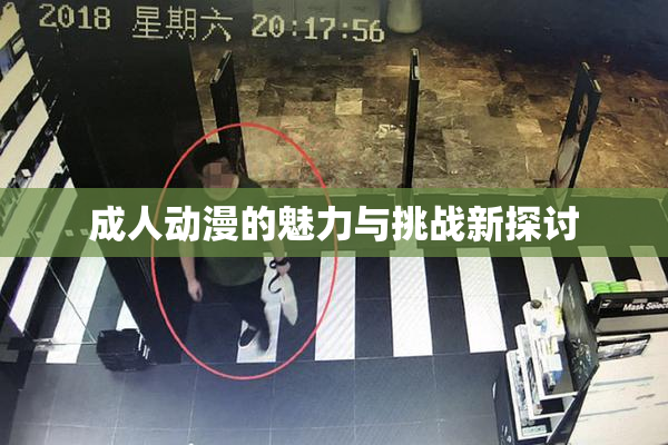成人动漫的魅力与挑战新探讨