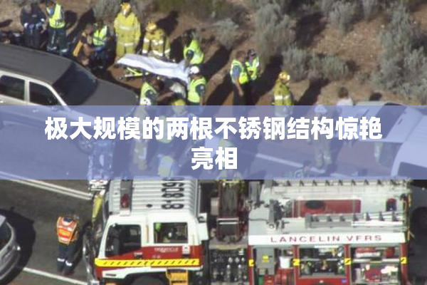 极大规模的两根不锈钢结构惊艳亮相