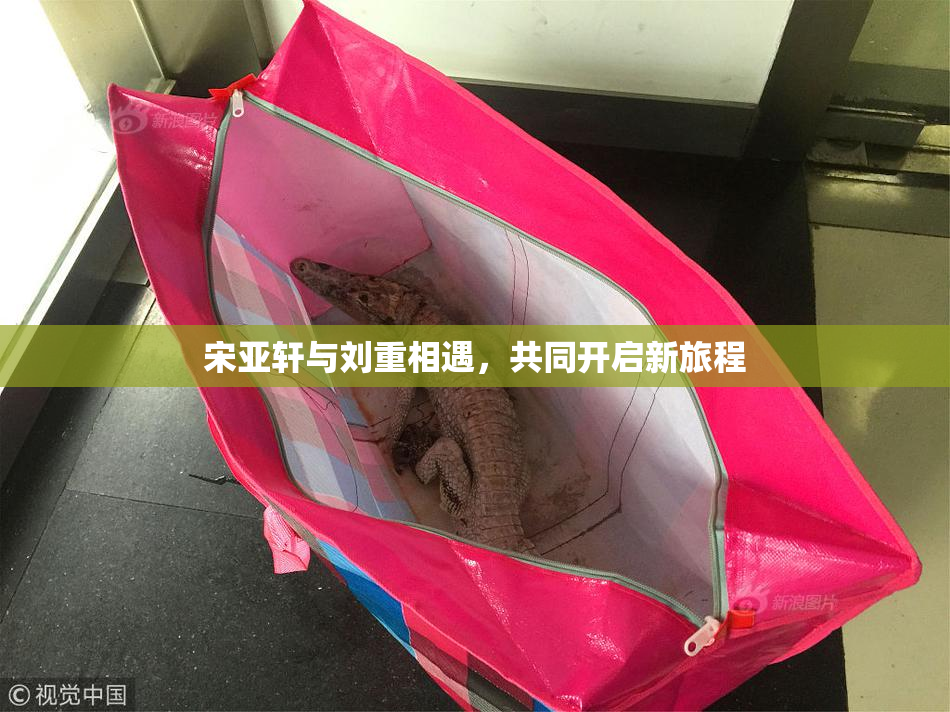 宋亚轩与刘重相遇，共同开启新旅程