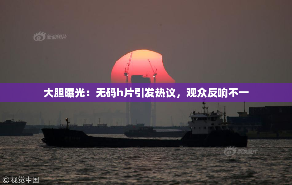大胆曝光：无码h片引发热议，观众反响不一