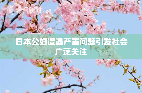 日本公妇遭遇严重问题引发社会广泛关注