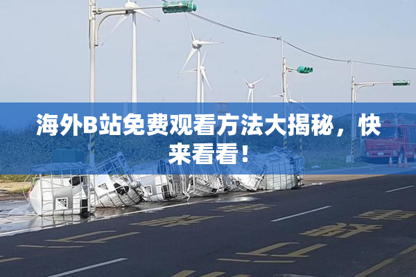 海外B站免费观看方法大揭秘，快来看看！