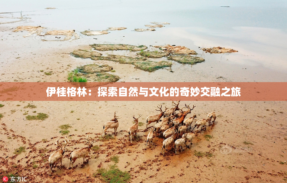 伊桂格林：探索自然与文化的奇妙交融之旅
