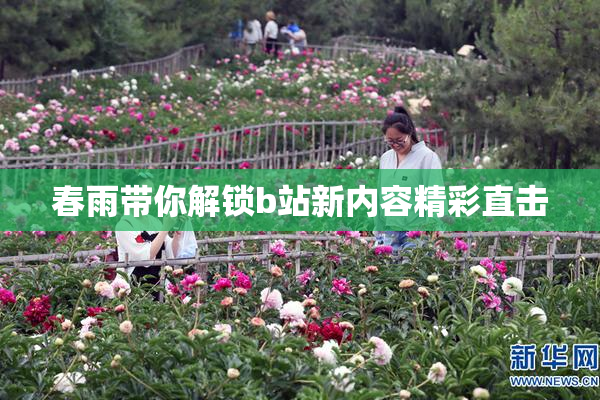 春雨带你解锁b站新内容精彩直击