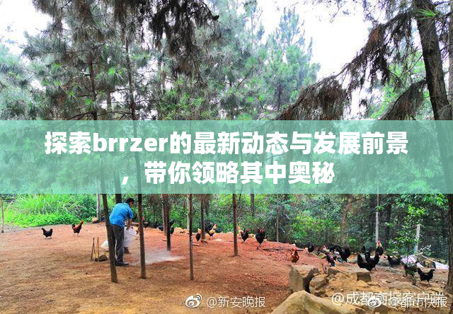 探索brrzer的最新动态与发展前景，带你领略其中奥秘