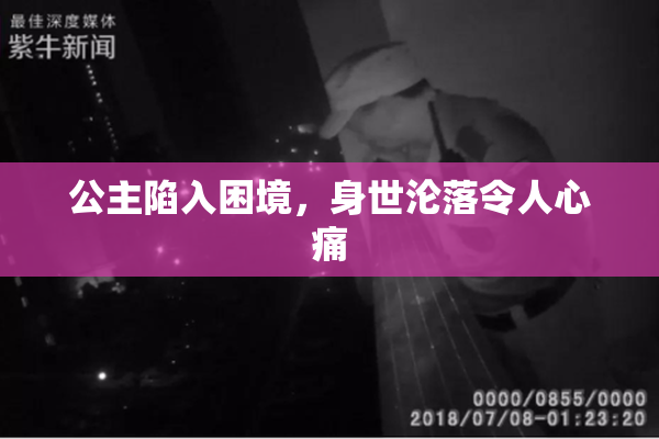 公主陷入困境，身世沦落令人心痛