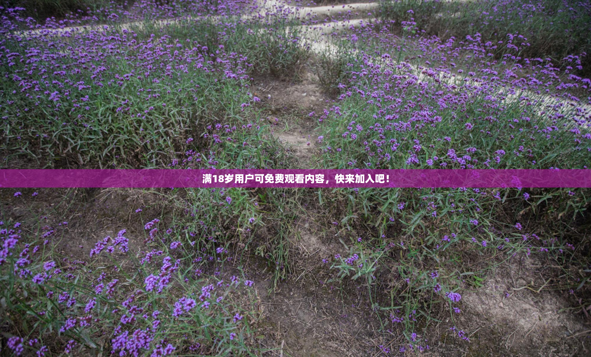 满18岁用户可免费观看内容，快来加入吧！
