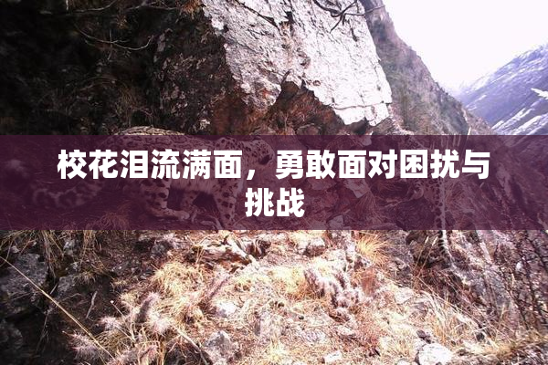 校花泪流满面，勇敢面对困扰与挑战