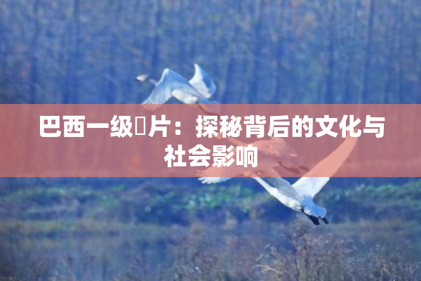 巴西一级婬片：探秘背后的文化与社会影响