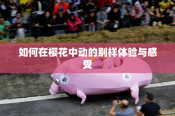 如何在樱花中动的别样体验与感受