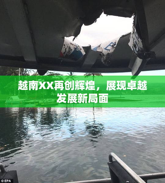 越南XX再创辉煌，展现卓越发展新局面